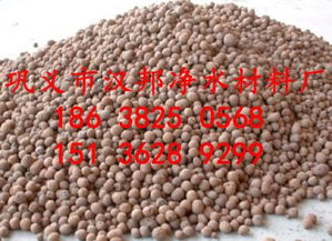 生物頁巖陶粒濾料 高效污水處理中的綠色凈水材料